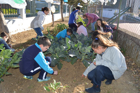 huertocolegio4