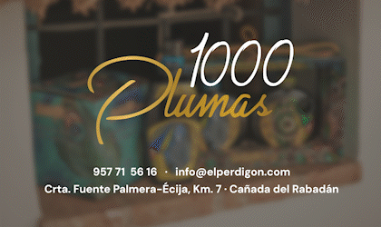 Banner 1000 Plumas perdigon