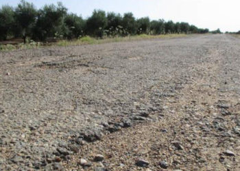 Proyecto Camino La Jara