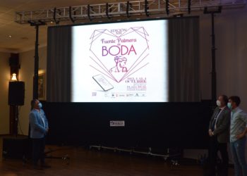 Fuente Palmera de Boda 2020