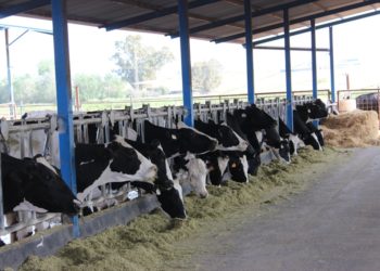 Agricultura amplía el plazo de las ayudas a los sectores más afectados por la pandemia