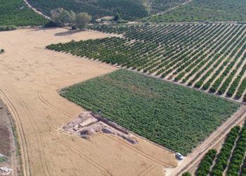 La tesis doctoral del arqueólogo Iván González culmina el programa franco-español Oleastro