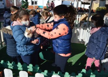 ‘La Granja de Julia’ culmina su periplo por la Colonia con gran éxito de participación