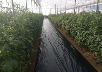 Expertos andaluces presentan sus conclusiones para alcanzar el residuo cero en la cadena agroalimentaria