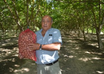 ‘A pie de campo’ con Francisco Toscano: Nogales a la vera de Ochavillo