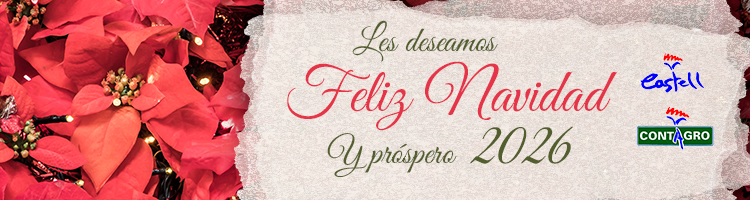 castell floristas Navidad 25