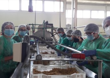 IFAPA Palma del Río oferta una segunda edición del Curso Especializado de Transformados Vegetales