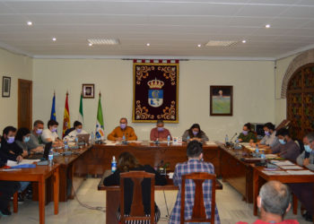 Pleno Ayuntamiento de Fuente Palmera