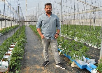 Cultivo hidropónico