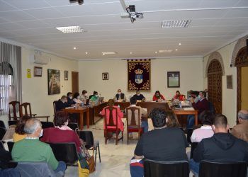 Pleno Ayuntamiento Fuente Palmera