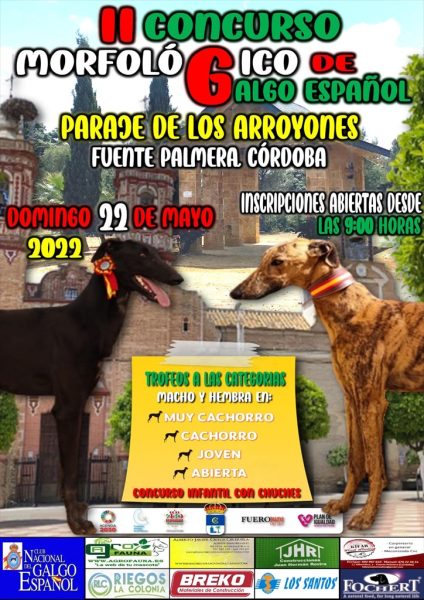 Concurso de galgos