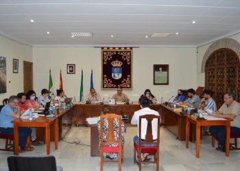 Pleno ordinario mayo 2022