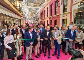 Fuente Palmera de Boda