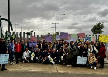 Manifestación sanidad pública