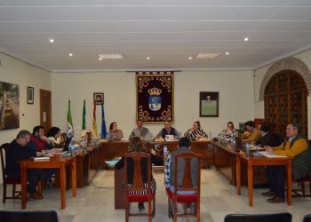 Pleno Fuente Palmera