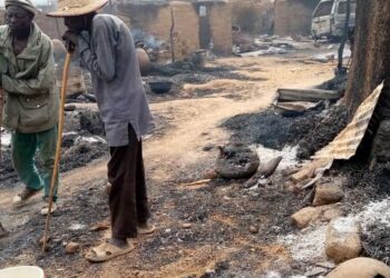 Cooperación Internacional