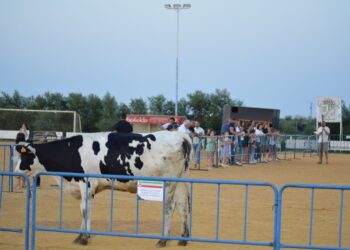 Fiesta Cañada del Rabadán