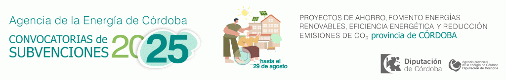subvenciones residencias 2025