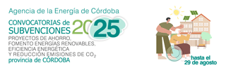 subvenciones residencias 2025
