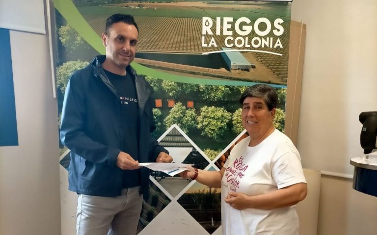 Solidaridad